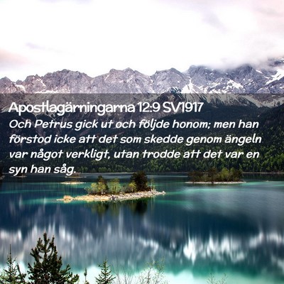 Picture 02 - Apostlagärningarna 12:9 SV1917 - Och Petrus gick ut och följde honom; men han - Bible Verse Picture