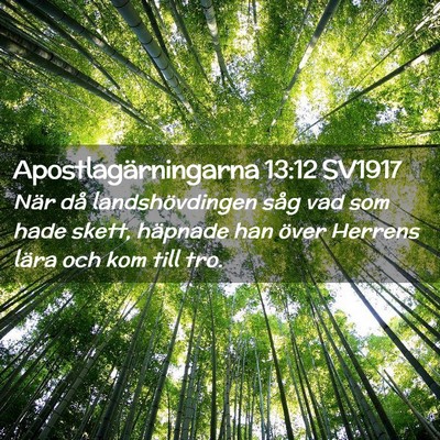 Picture 02 - Apostlagärningarna 13:12 SV1917 - När då landshövdingen såg vad som hade skett, - Bible Verse Picture