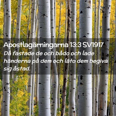 Picture 02 - Apostlagärningarna 13:3 SV1917 - Då fastade de och bådo och lade händerna på - Bible Verse Picture