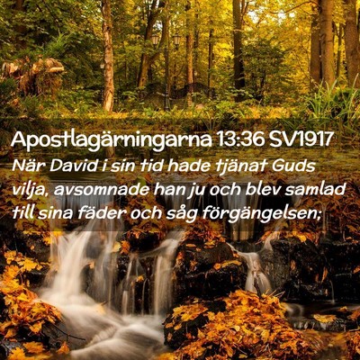 Picture 02 - Apostlagärningarna 13:36 SV1917 - När David i sin tid hade tjänat Guds vilja, - Bible Verse Picture