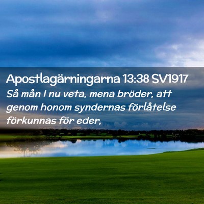 Picture 02 - Apostlagärningarna 13:38 SV1917 - Så mån I nu veta, mena bröder, att genom honom - Bible Verse Picture