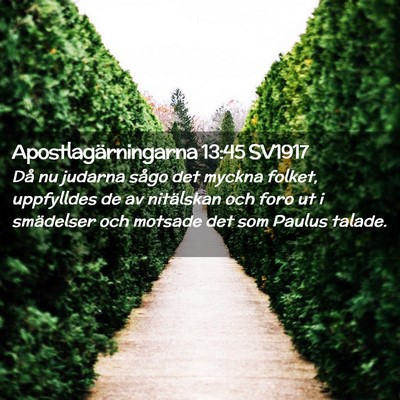 Picture 02 - Apostlagärningarna 13:45 SV1917 - Då nu judarna sågo det myckna folket, - Bible Verse Picture