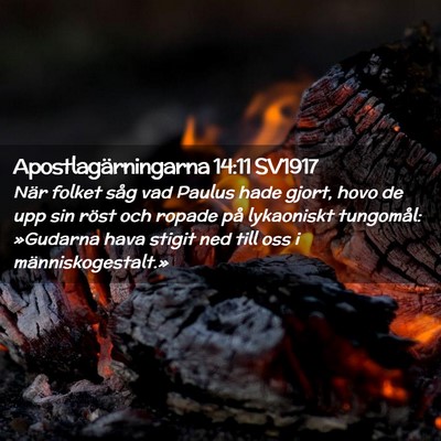Picture 02 - Apostlagärningarna 14:11 SV1917 - När folket såg vad Paulus hade gjort, hovo de - Bible Verse Picture