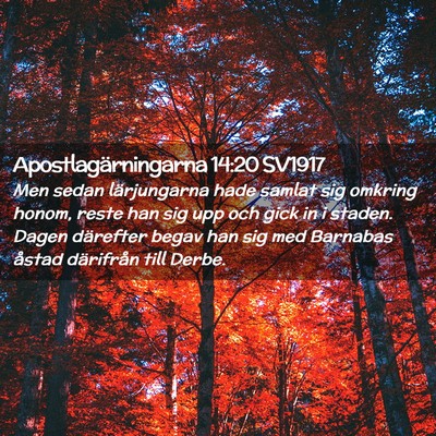 Picture 02 - Apostlagärningarna 14:20 SV1917 - Men sedan lärjungarna hade samlat sig omkring - Bible Verse Picture