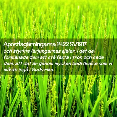 Picture 02 - Apostlagärningarna 14:22 SV1917 - och styrkte lärjungarnas själar, i det de - Bible Verse Picture