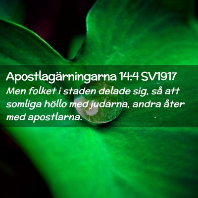 Picture 02 - Apostlagärningarna 14:4 SV1917 - Men folket i staden delade sig, så att somliga - Bible Verse Picture