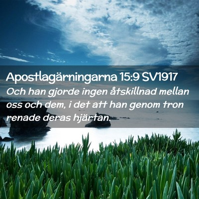 Picture 02 - Apostlagärningarna 15:9 SV1917 - Och han gjorde ingen åtskillnad mellan oss och - Bible Verse Picture