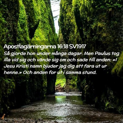 Picture 02 - Apostlagärningarna 16:18 SV1917 - Så gjorde hon under många dagar. Men Paulus tog - Bible Verse Picture