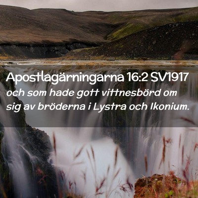 Picture 02 - Apostlagärningarna 16:2 SV1917 - och som hade gott vittnesbörd om sig av - Bible Verse Picture