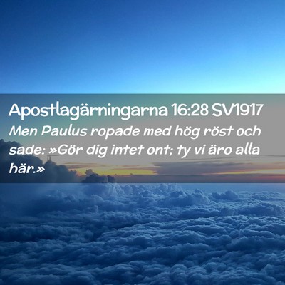Picture 02 - Apostlagärningarna 16:28 SV1917 - Men Paulus ropade med hög röst och sade: »Gör - Bible Verse Picture
