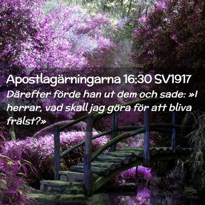 Picture 02 - Apostlagärningarna 16:30 SV1917 - Därefter förde han ut dem och sade: »I herrar, - Bible Verse Picture