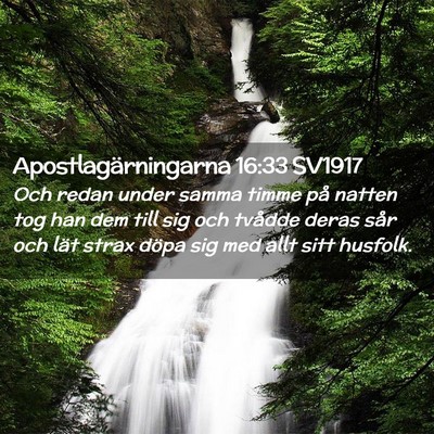 Picture 02 - Apostlagärningarna 16:33 SV1917 - Och redan under samma timme på natten tog han - Bible Verse Picture