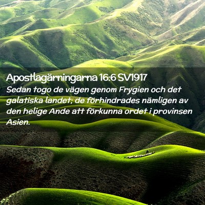 Picture 02 - Apostlagärningarna 16:6 SV1917 - Sedan togo de vägen genom Frygien och det - Bible Verse Picture