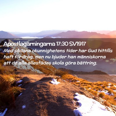 Picture 02 - Apostlagärningarna 17:30 SV1917 - Med sådana okunnighetens tider har Gud hittills - Bible Verse Picture