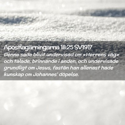 Picture 02 - Apostlagärningarna 18:25 SV1917 - Denne sade blivit undervisad om »Herrens väg» - Bible Verse Picture