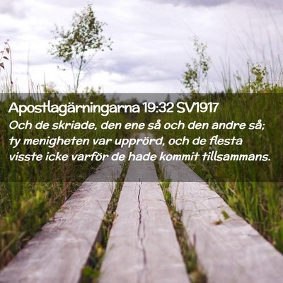 Picture 02 - Apostlagärningarna 19:32 SV1917 - Och de skriade, den ene så och den andre så; ty - Bible Verse Picture