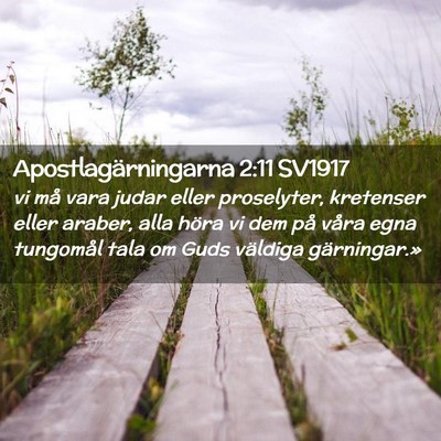 Picture 02 - Apostlagärningarna 2:11 SV1917 - vi må vara judar eller proselyter, kretenser - Bible Verse Picture