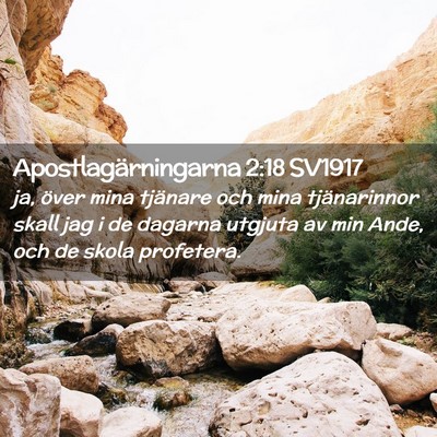 Picture 02 - Apostlagärningarna 2:18 SV1917 - ja, över mina tjänare och mina tjänarinnor - Bible Verse Picture