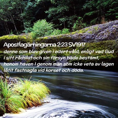 Picture 02 - Apostlagärningarna 2:23 SV1917 - denne som blev given i edert våld, enligt vad - Bible Verse Picture