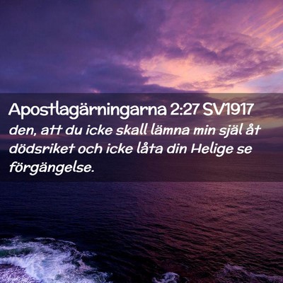 Picture 02 - Apostlagärningarna 2:27 SV1917 - den, att du icke skall lämna min själ åt - Bible Verse Picture