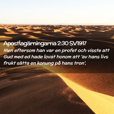 Picture 02 - Apostlagärningarna 2:30 SV1917 - Men eftersom han var en profet och visste att Gud - Bible Verse Picture