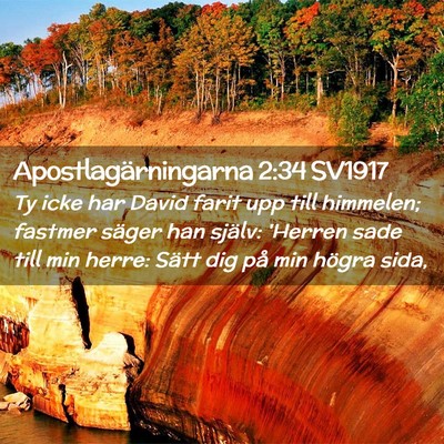 Picture 02 - Apostlagärningarna 2:34 SV1917 - Ty icke har David farit upp till himmelen; - Bible Verse Picture