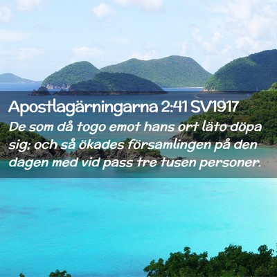 Picture 02 - Apostlagärningarna 2:41 SV1917 - De som då togo emot hans ort läto döpa sig; - Bible Verse Picture