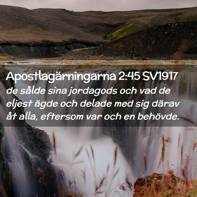 Picture 02 - Apostlagärningarna 2:45 SV1917 - de sålde sina jordagods och vad de eljest ägde - Bible Verse Picture