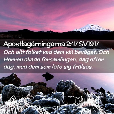 Picture 02 - Apostlagärningarna 2:47 SV1917 - Och allt folket vad dem väl bevåget. Och Herren - Bible Verse Picture