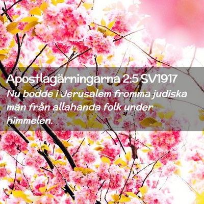 Picture 02 - Apostlagärningarna 2:5 SV1917 - Nu bodde i Jerusalem fromma judiska män från - Bible Verse Picture