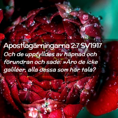 Picture 02 - Apostlagärningarna 2:7 SV1917 - Och de uppfylldes av häpnad och förundran och - Bible Verse Picture