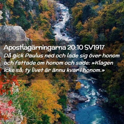 Picture 02 - Apostlagärningarna 20:10 SV1917 - Då gick Paulus ned och lade sig över honom och - Bible Verse Picture