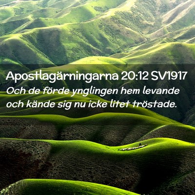 Picture 02 - Apostlagärningarna 20:12 SV1917 - Och de förde ynglingen hem levande och kände - Bible Verse Picture