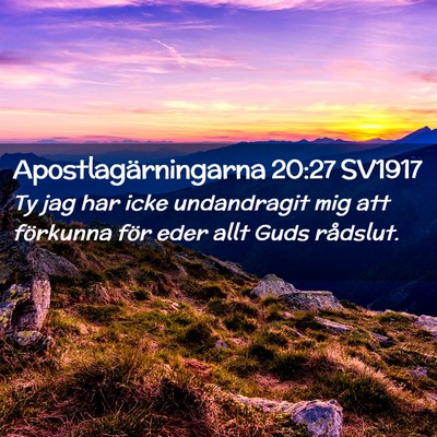 Picture 02 - Apostlagärningarna 20:27 SV1917 - Ty jag har icke undandragit mig att förkunna - Bible Verse Picture