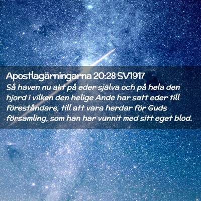 Picture 02 - Apostlagärningarna 20:28 SV1917 - Så haven nu akt på eder själva och på hela - Bible Verse Picture