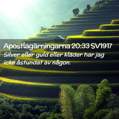 Picture 02 - Apostlagärningarna 20:33 SV1917 - Silver eller guld eller kläder har jag icke - Bible Verse Picture