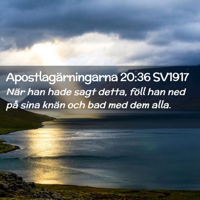 Picture 02 - Apostlagärningarna 20:36 SV1917 - När han hade sagt detta, föll han ned på sina - Bible Verse Picture