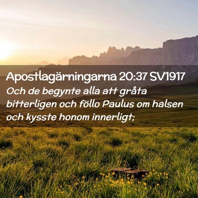 Picture 02 - Apostlagärningarna 20:37 SV1917 - Och de begynte alla att gråta bitterligen och - Bible Verse Picture