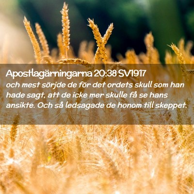 Picture 02 - Apostlagärningarna 20:38 SV1917 - och mest sörjde de för det ordets skull som han - Bible Verse Picture