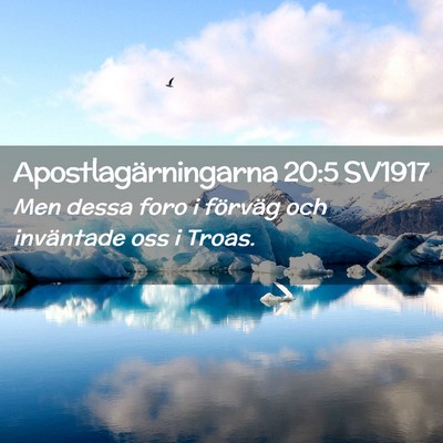 Picture 02 - Apostlagärningarna 20:5 SV1917 - Men dessa foro i förväg och inväntade oss i - Bible Verse Picture