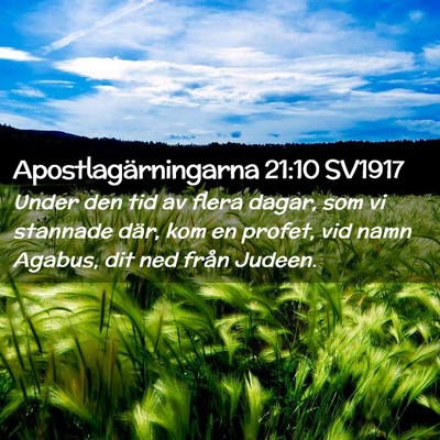 Picture 02 - Apostlagärningarna 21:10 SV1917 - Under den tid av flera dagar, som vi stannade - Bible Verse Picture