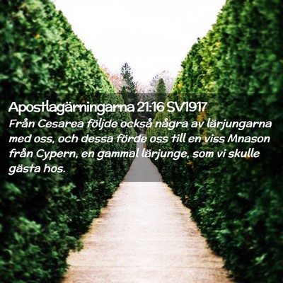 Picture 02 - Apostlagärningarna 21:16 SV1917 - Från Cesarea följde också några av - Bible Verse Picture