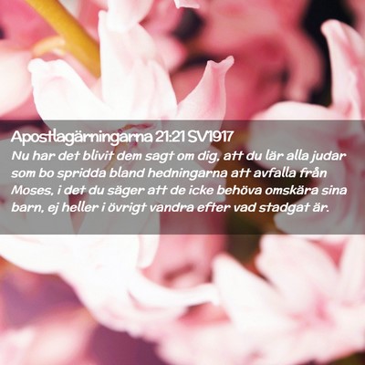 Picture 02 - Apostlagärningarna 21:21 SV1917 - Nu har det blivit dem sagt om dig, att du lär - Bible Verse Picture