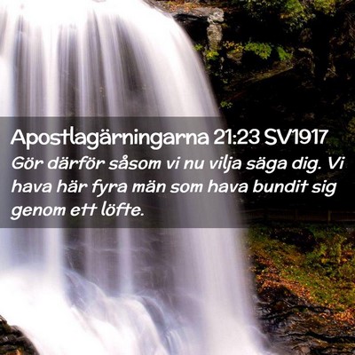 Picture 02 - Apostlagärningarna 21:23 SV1917 - Gör därför såsom vi nu vilja säga dig. Vi - Bible Verse Picture