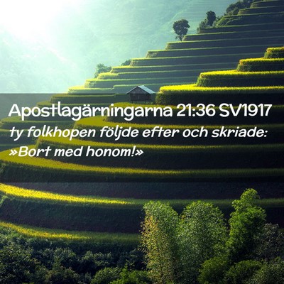 Picture 02 - Apostlagärningarna 21:36 SV1917 - ty folkhopen följde efter och skriade: »Bort - Bible Verse Picture