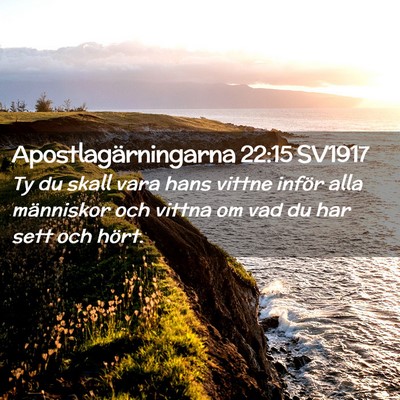 Picture 02 - Apostlagärningarna 22:15 SV1917 - Ty du skall vara hans vittne inför alla - Bible Verse Picture