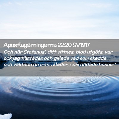 Picture 02 - Apostlagärningarna 22:20 SV1917 - Och när Stefanus', ditt vittnes, blod utgöts, - Bible Verse Picture