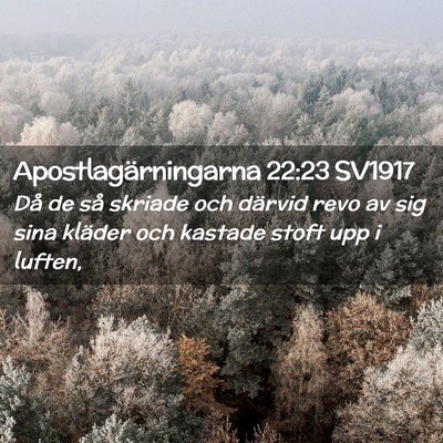 Picture 02 - Apostlagärningarna 22:23 SV1917 - Då de så skriade och därvid revo av sig sina - Bible Verse Picture