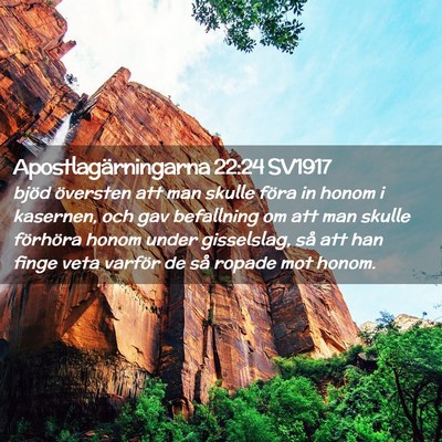 Picture 02 - Apostlagärningarna 22:24 SV1917 - bjöd översten att man skulle föra in honom i - Bible Verse Picture