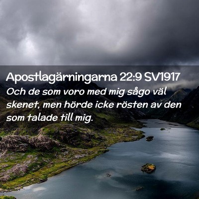 Picture 02 - Apostlagärningarna 22:9 SV1917 - Och de som voro med mig sågo väl skenet, men - Bible Verse Picture